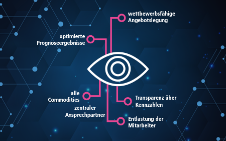 ProduktBild-PlusPrognose